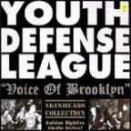 456_youth defense league-voice of brooklyn.jpg